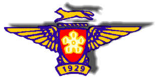 Aero Club Badge